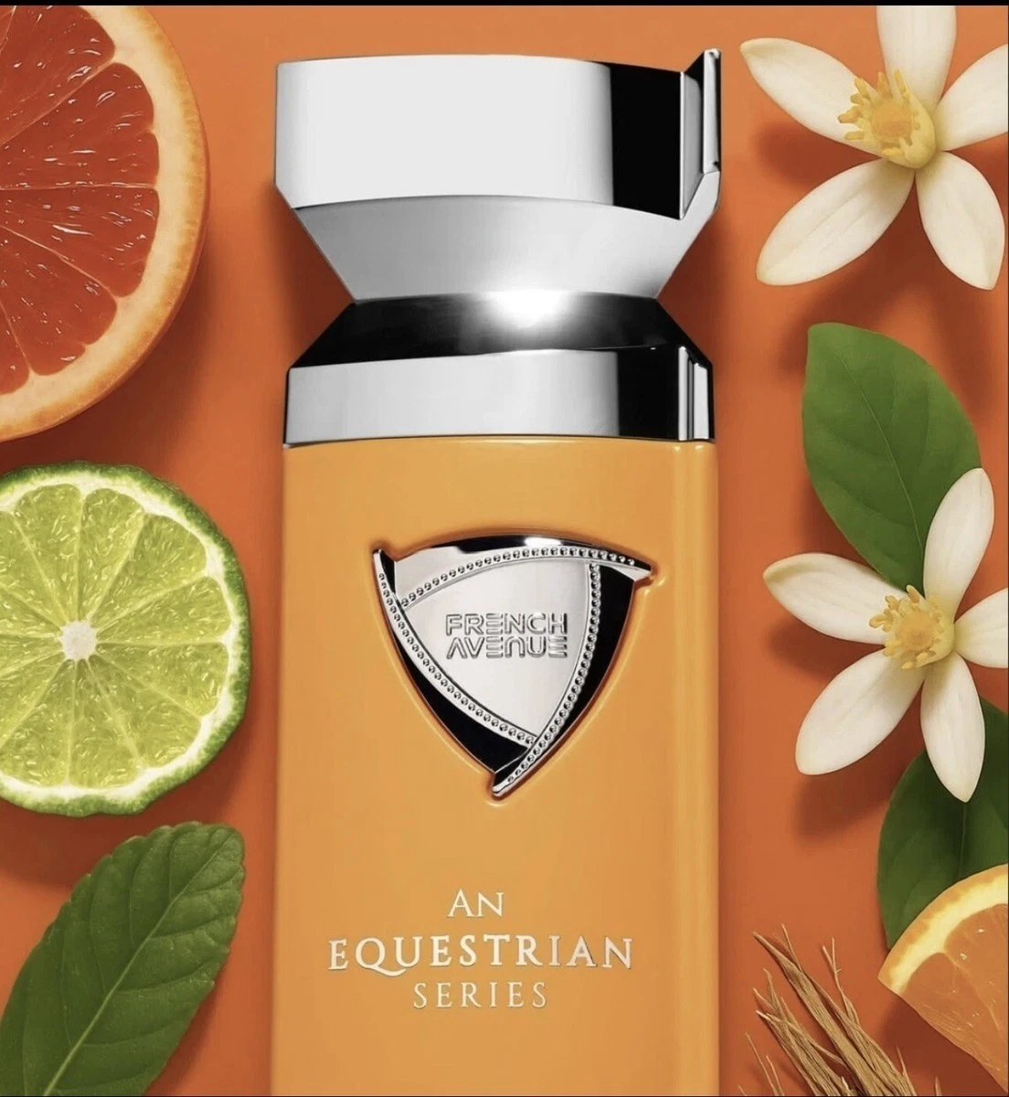 An Equestrian - Image 2